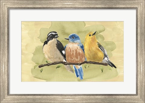 Framed Bird Perch IV Print