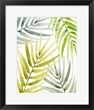 Framed Shady Palm II Print