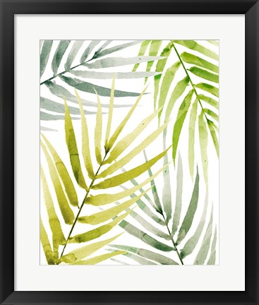 Framed Shady Palm II Print