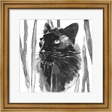 Framed Still Cat I Print