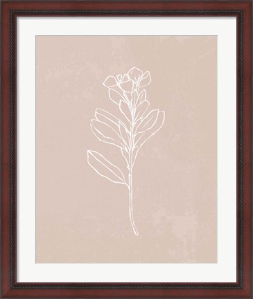 Framed Blush Bloom I Print