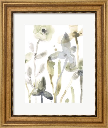 Framed Stone Moss Stems III Print