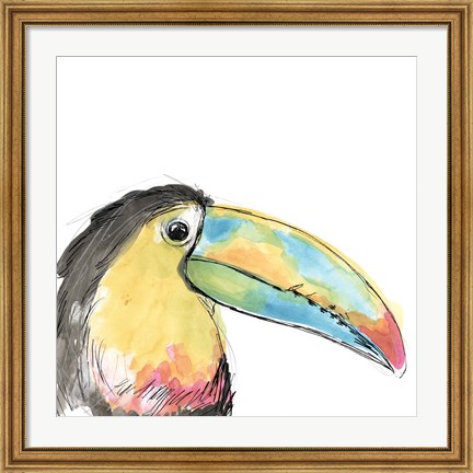 Framed Tropical Bird Portrait II Print