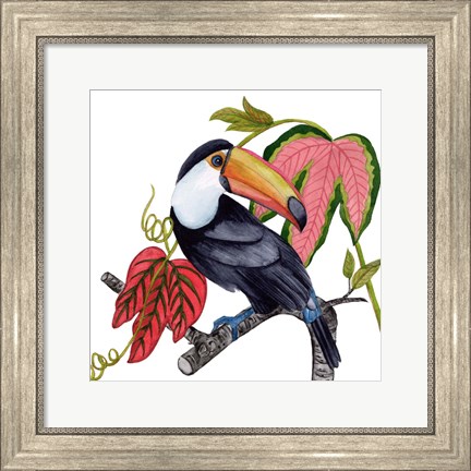 Framed Toco Toucan I Print