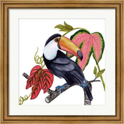 Framed Toco Toucan I Print