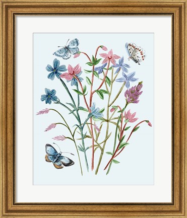 Framed Wildflowers Arrangements III Print