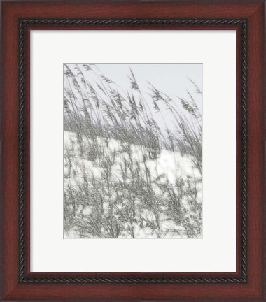 Framed Lush Dunes III Print