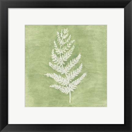 Framed Forest Ferns II Print