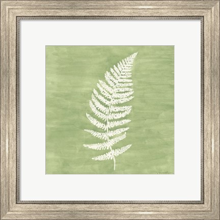 Framed Forest Ferns III Print