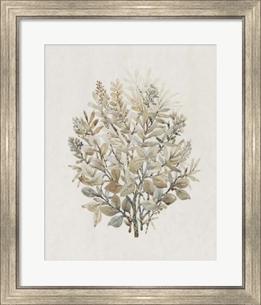 Framed Leaf Arrangement II Print