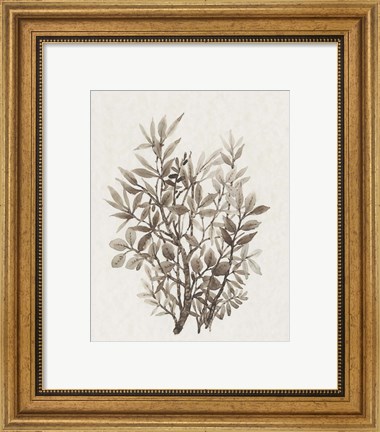 Framed Leaf Arrangement IV Print