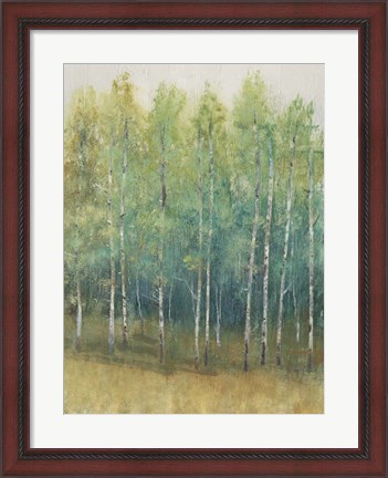 Framed Woodland Edge II Print