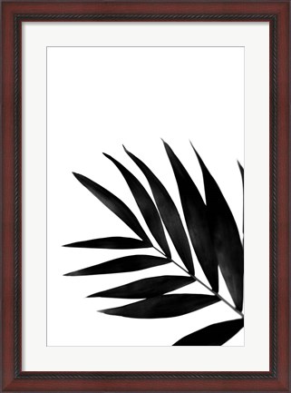 Framed Black Palms II Print