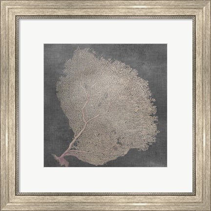 Framed Natural Sea Fan IX Print