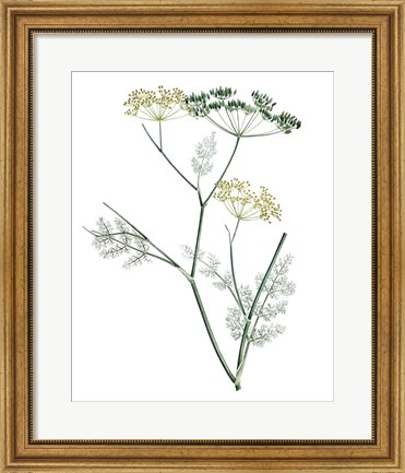 Framed Soft Green Botanical IV Print