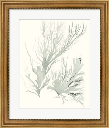 Framed Sage Green Seaweed IV Print