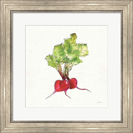 Framed Veggie Market II Radish Print