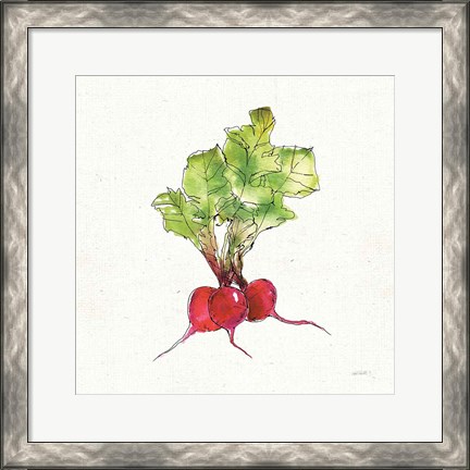 Framed Veggie Market II Radish Print