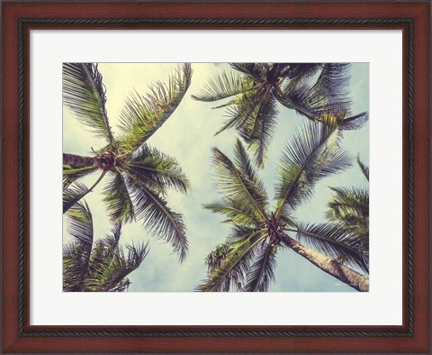 Framed Palms in the Sky Print