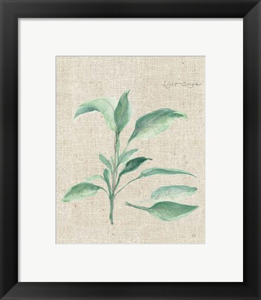 Framed Sage II on Burlap Print