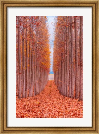 Framed Tree Farm Print