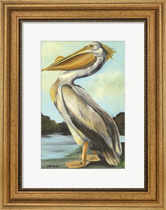 Framed Grand Pelican Print