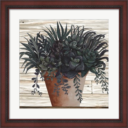 Framed Remarkable Succulents I Print