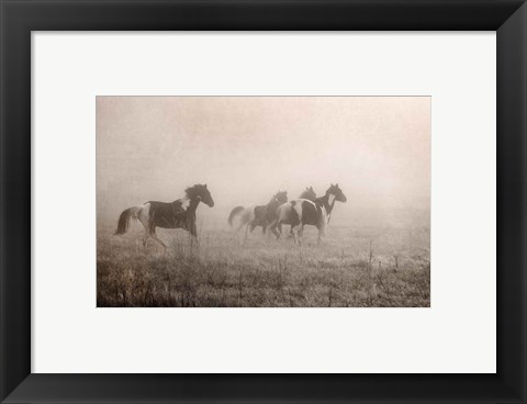 Framed Paint Horses on the Run Print