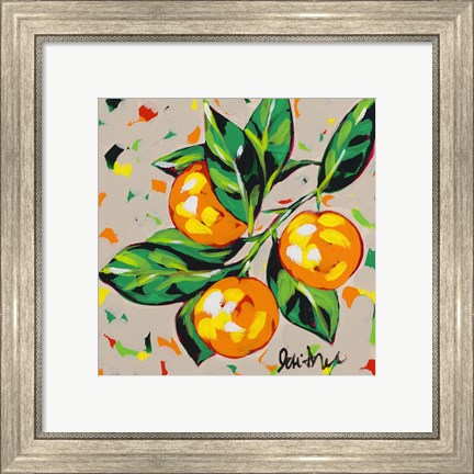 Framed Fruit Sketch Oranges Print