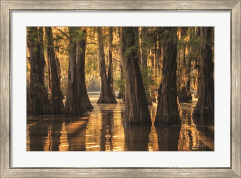 Framed Natural Beauty Print