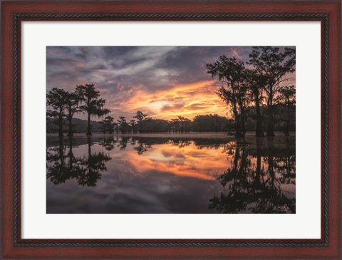 Framed Sunrise in the Swamps Print