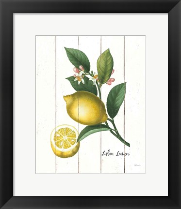 Framed Cottage Lemon I Print