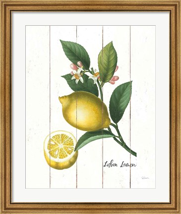 Framed Cottage Lemon I Print