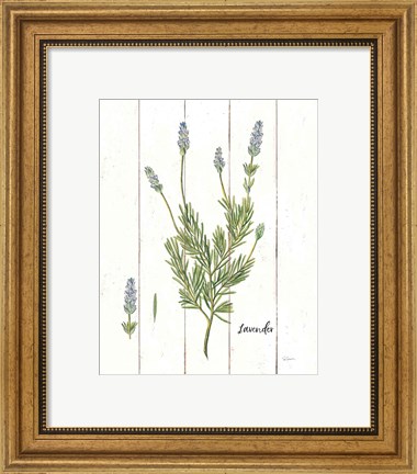 Framed Cottage Herbs II Print