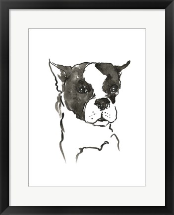 Framed Dog V Print