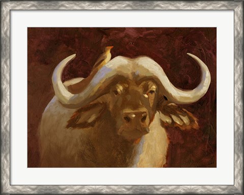 Framed Cape Buffalo I Print