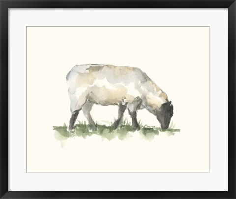 Framed Grazing Farm Animal III Print