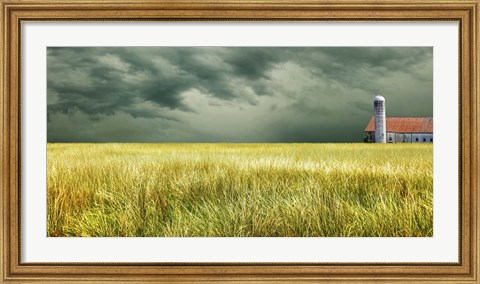 Framed Yellow Field Print