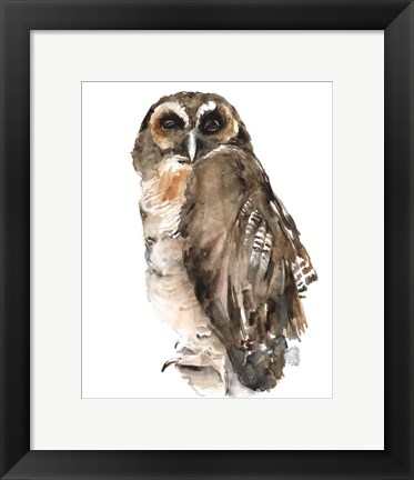 Framed Watercolor Owl I Print