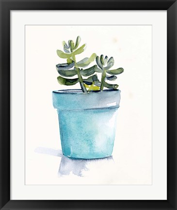 Framed Potted Succulent II Print