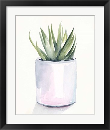 Framed Potted Succulent III Print