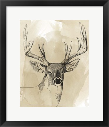 Framed Burnished Buck I Print