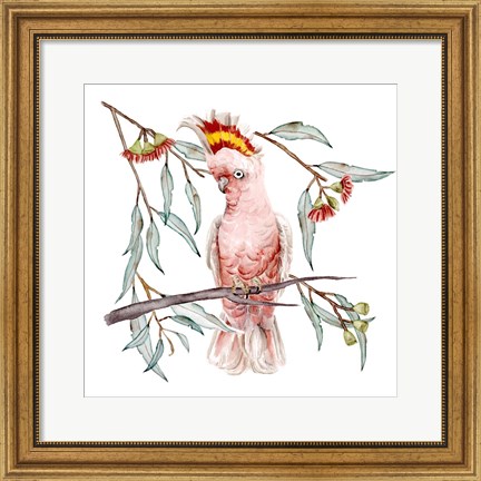 Framed Pink Cockatoo I Print