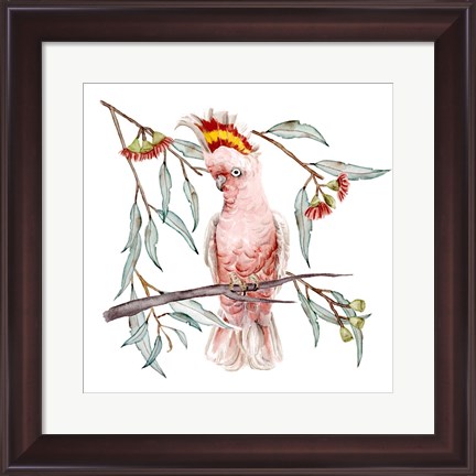 Framed Pink Cockatoo I Print