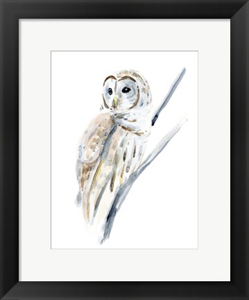 Framed Arctic Owl I Print