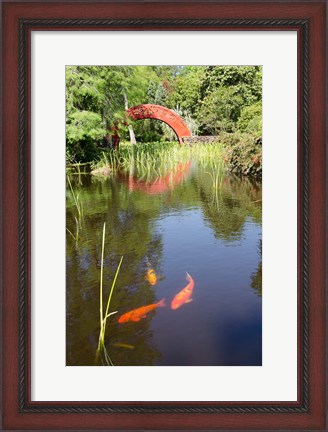 Framed Alabama, Theodore Bridge and Koi Pond at Bellingrath Gardens Print