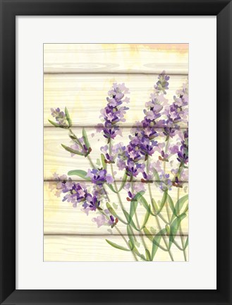 Framed Floral Lavender I Print