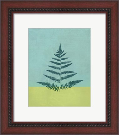 Framed Aqua Fern Print