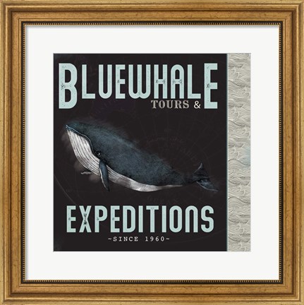 Framed Blue Whale Tours Print