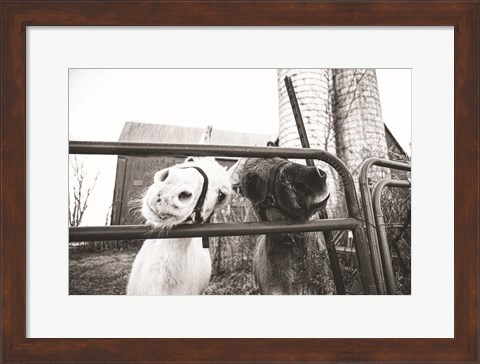 Framed Hey Donkeys I Print